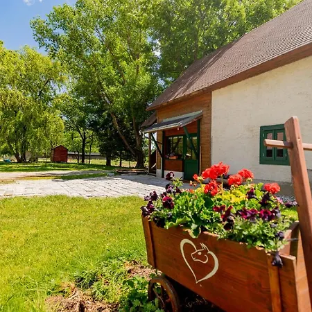 Muehle In Der Pferdewelt 赖歇瑙