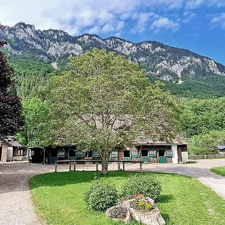 Muehle In Der Pferdewelt 公寓 赖歇瑙