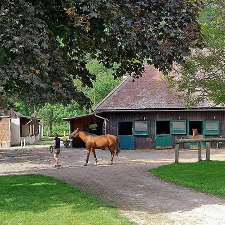 Muehle In Der Pferdewelt