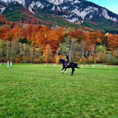Muehle In Der Pferdewelt * Reichenau an der Rax