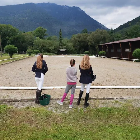 Muehle In Der Pferdewelt * Reichenau an der Rax