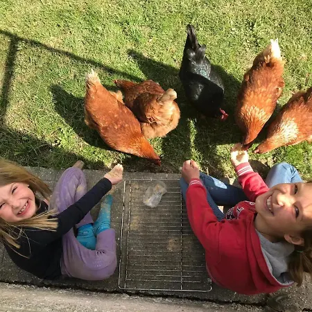 Lejlighed Muehle In Der Pferdewelt