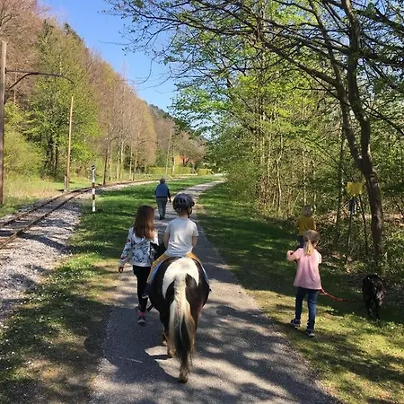 公寓 Muehle In Der Pferdewelt *