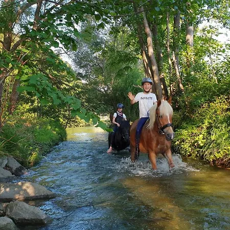 Muehle In Der Pferdewelt