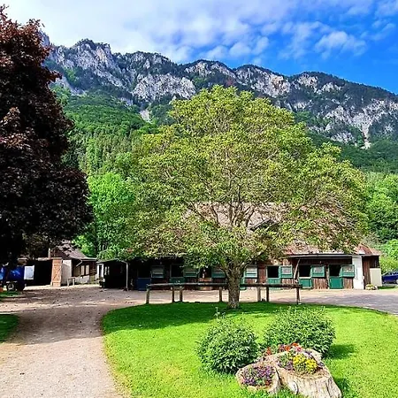 Apartment Muehle In Der Pferdewelt