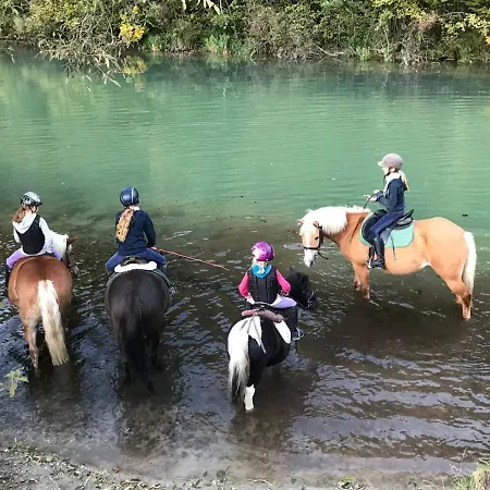 Muehle In Der Pferdewelt * Reichenau an der Rax
