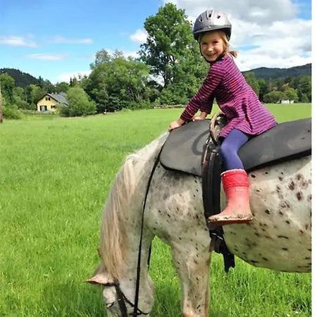 Muehle In Der Pferdewelt