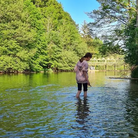 公寓 Muehle In Der Pferdewelt 赖歇瑙