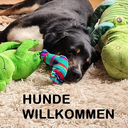 Apartament Muehle In Der Pferdewelt *