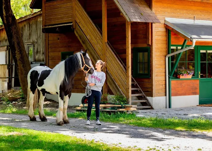 Appartement Muehle In Der Pferdewelt *