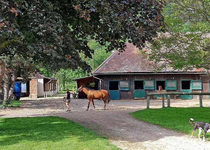 Muehle In Der Pferdewelt