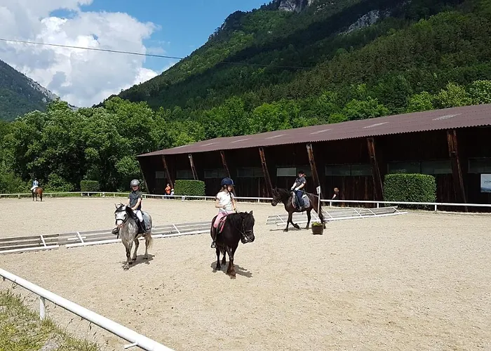 Muehle In Der Pferdewelt