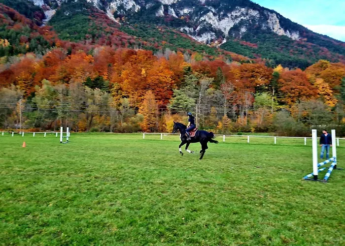 Muehle In Der Pferdewelt * Reichenau an der Rax