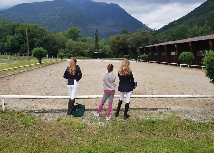 Muehle In Der Pferdewelt * Reichenau an der Rax