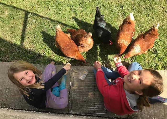 Appartement Muehle In Der Pferdewelt