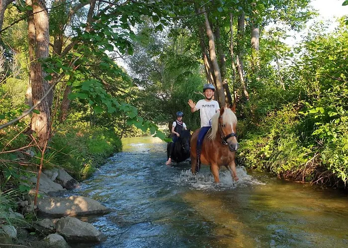 Muehle In Der Pferdewelt