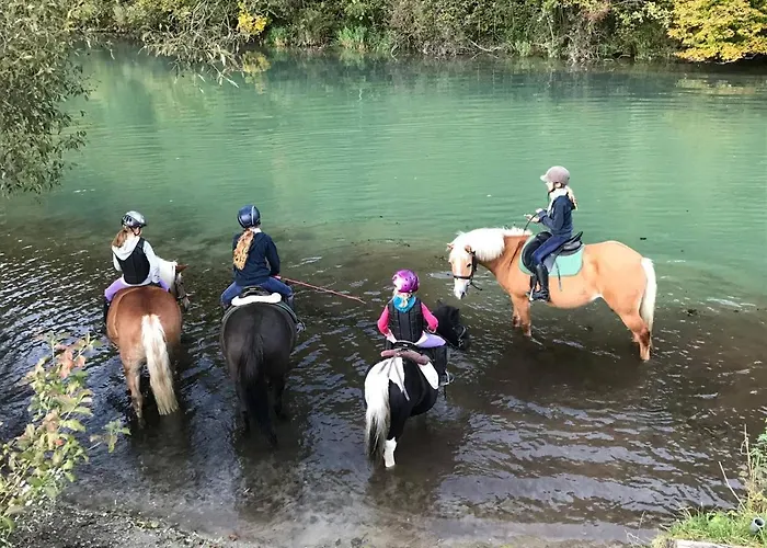 Muehle In Der Pferdewelt * Reichenau an der Rax
