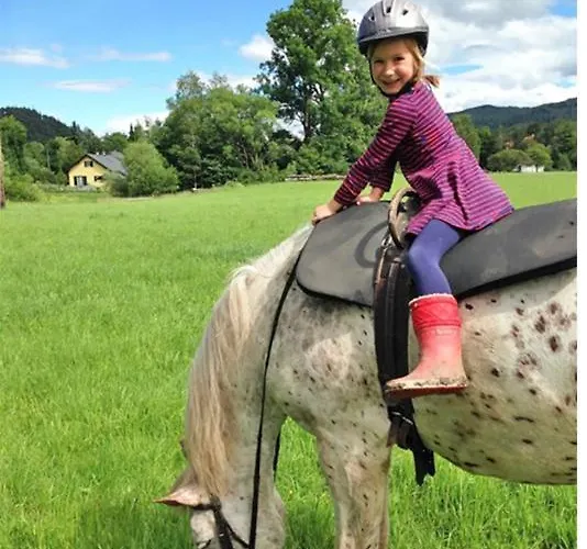 Muehle In Der Pferdewelt