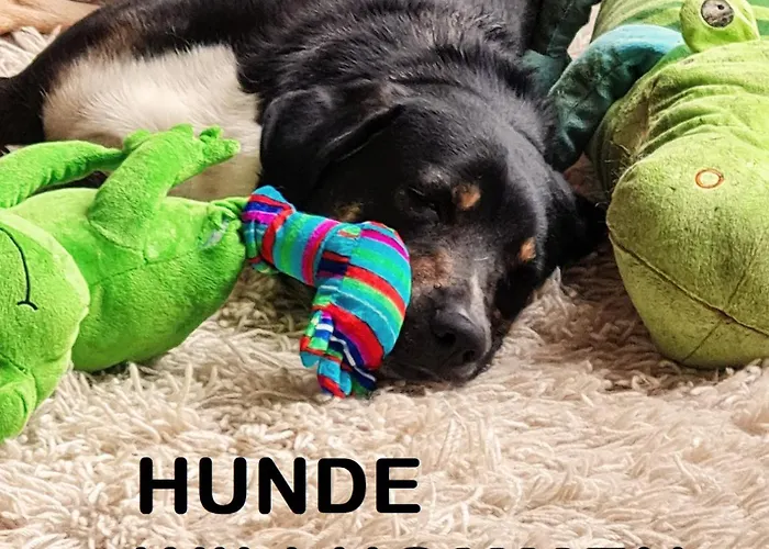 Lejlighed Muehle In Der Pferdewelt *